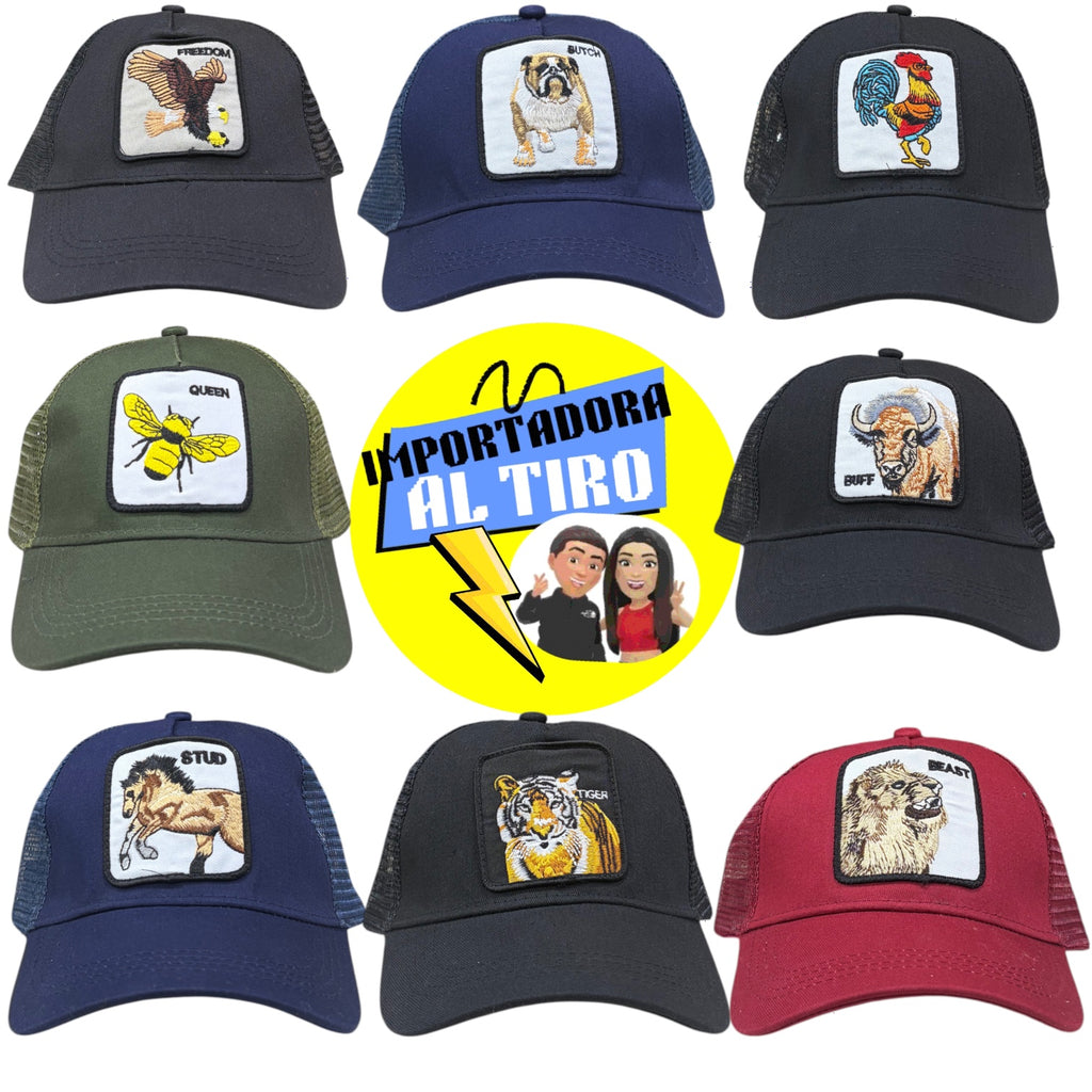 Docena Jockey Animales